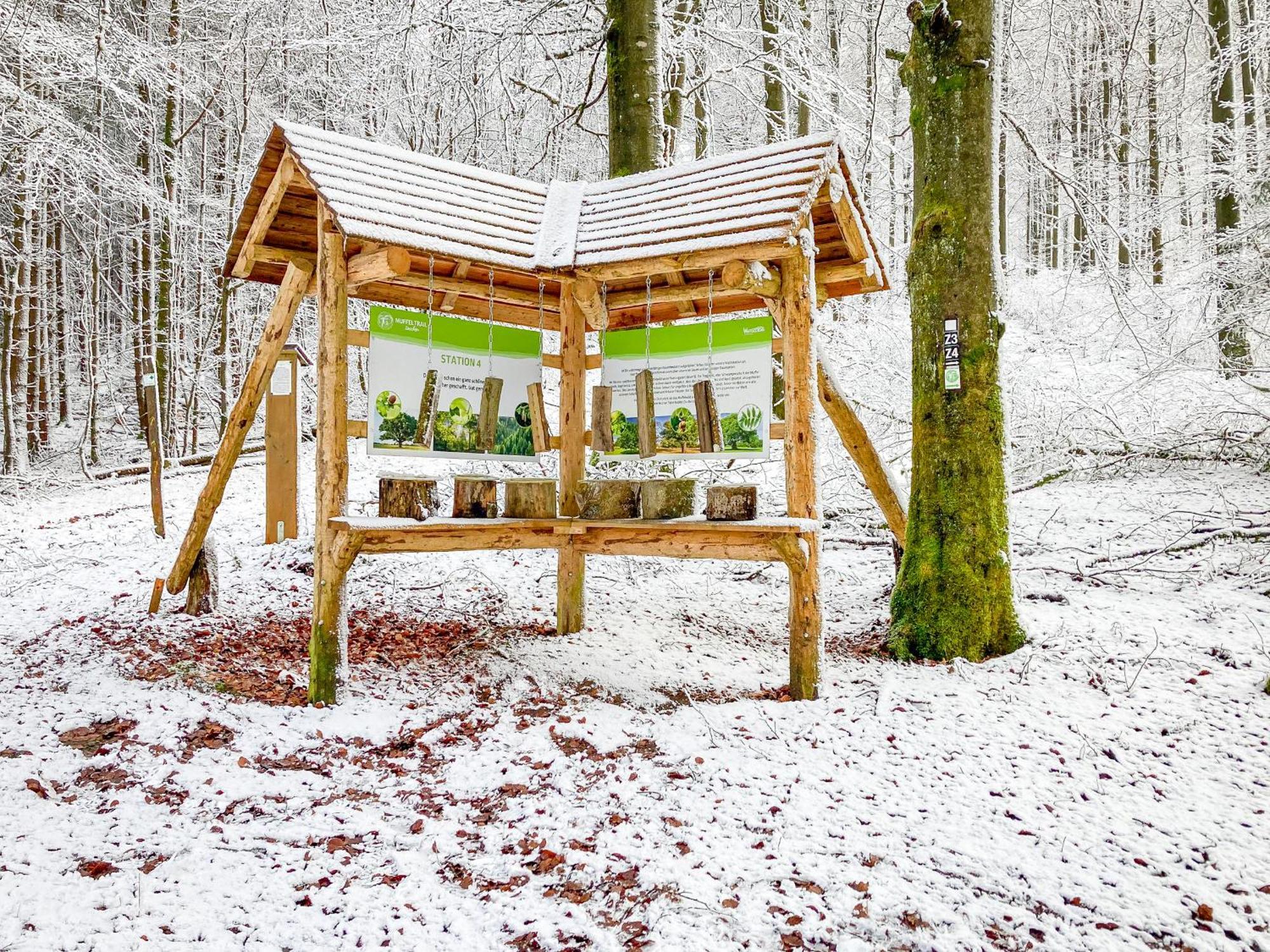 Alte Schule Winterberg Luxury Apartments Экстерьер фото