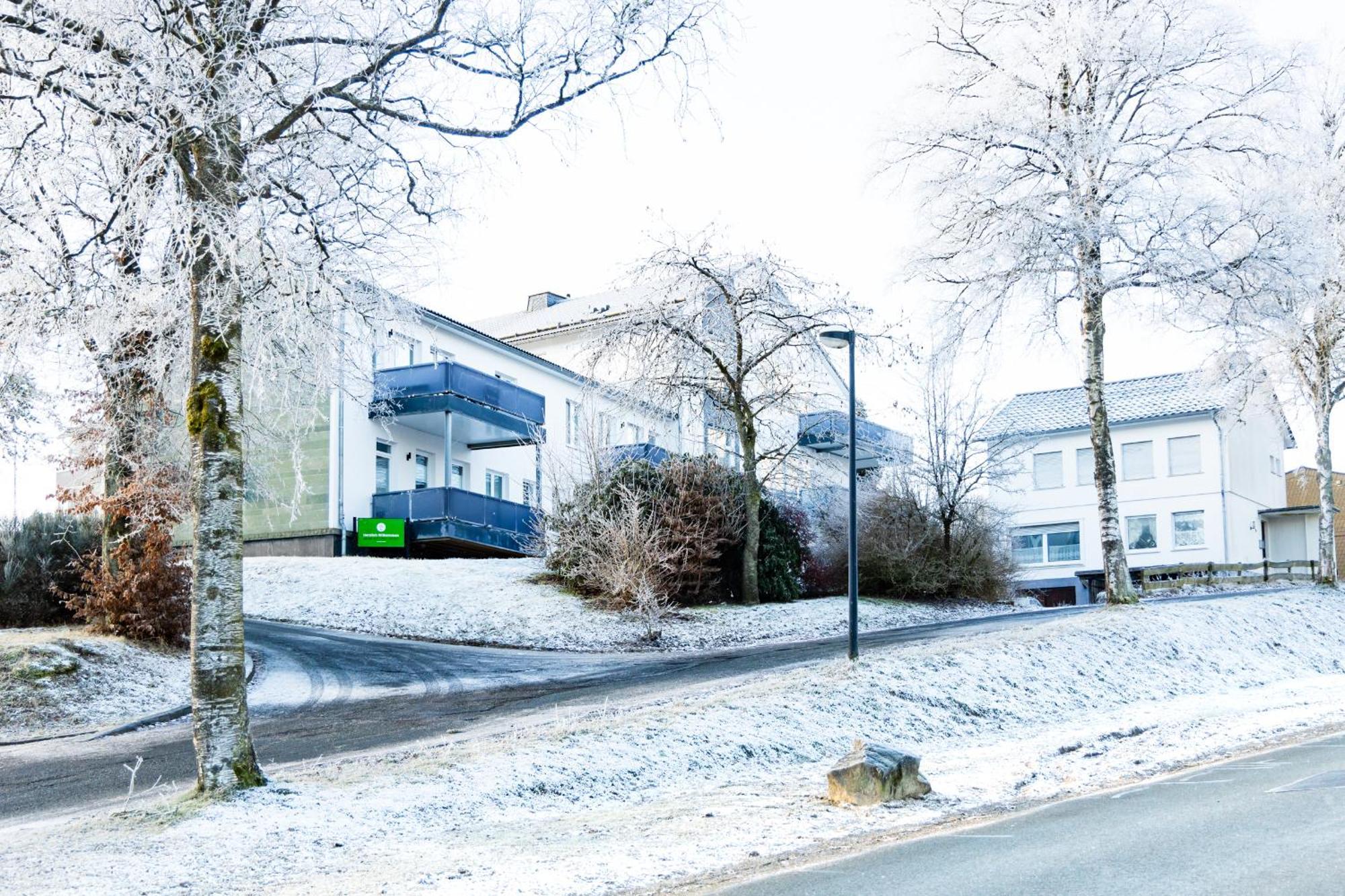 Alte Schule Winterberg Luxury Apartments Экстерьер фото