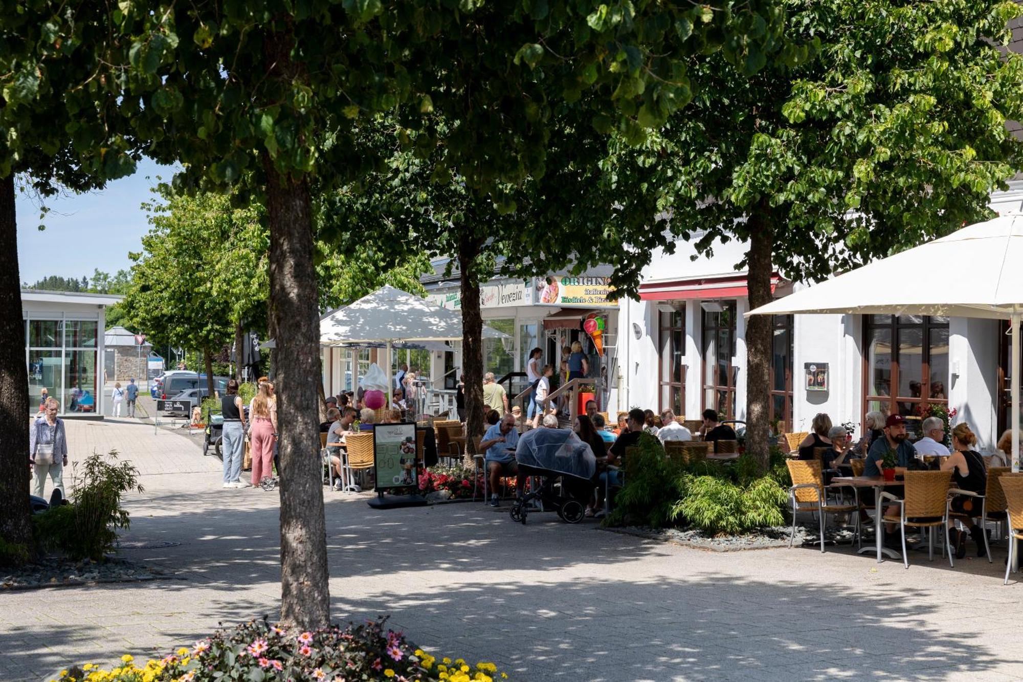 Alte Schule Winterberg Luxury Apartments Экстерьер фото